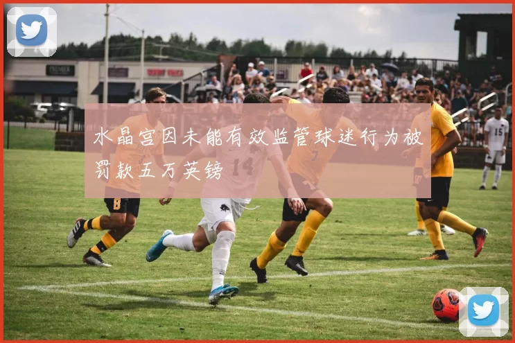 水晶宫因未能有效监管球迷行为被罚款五万英镑