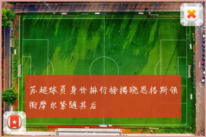 苏超球员身价排行榜揭晓恩格斯领衔摩尔紧随其后