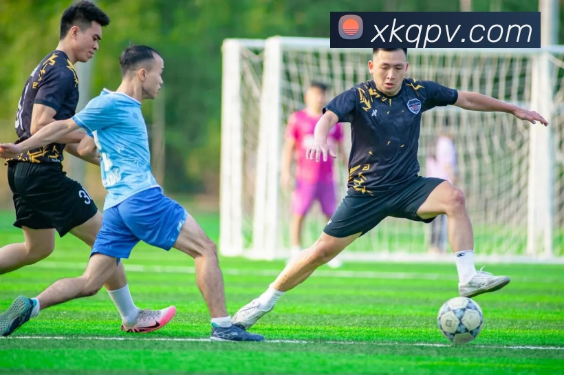 星空娱乐棋牌平台生态图